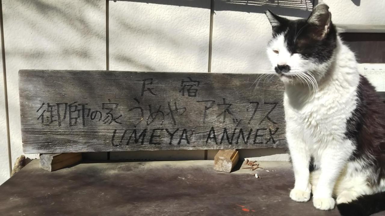 בית הארחה פוג'יקאוואגוצ'יקו 	Umeya Annex מראה חיצוני תמונה